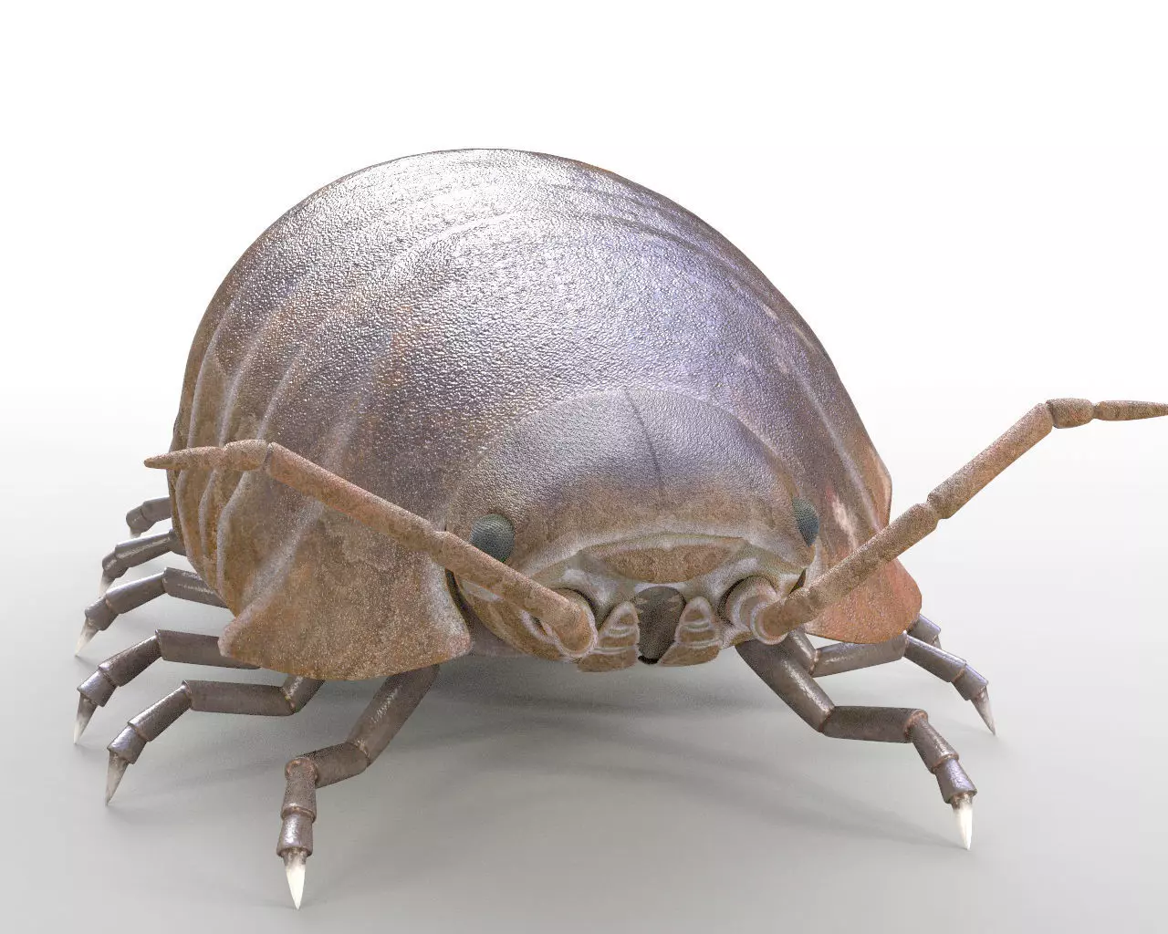 Pill bug insect Low-poly 3D model_7