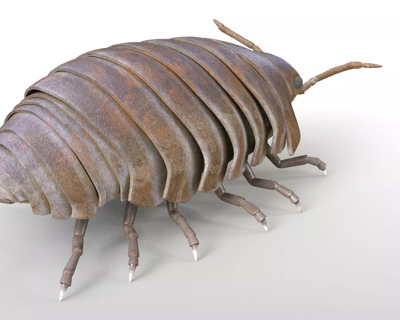 Pill bug insect Low-poly 3D model_6