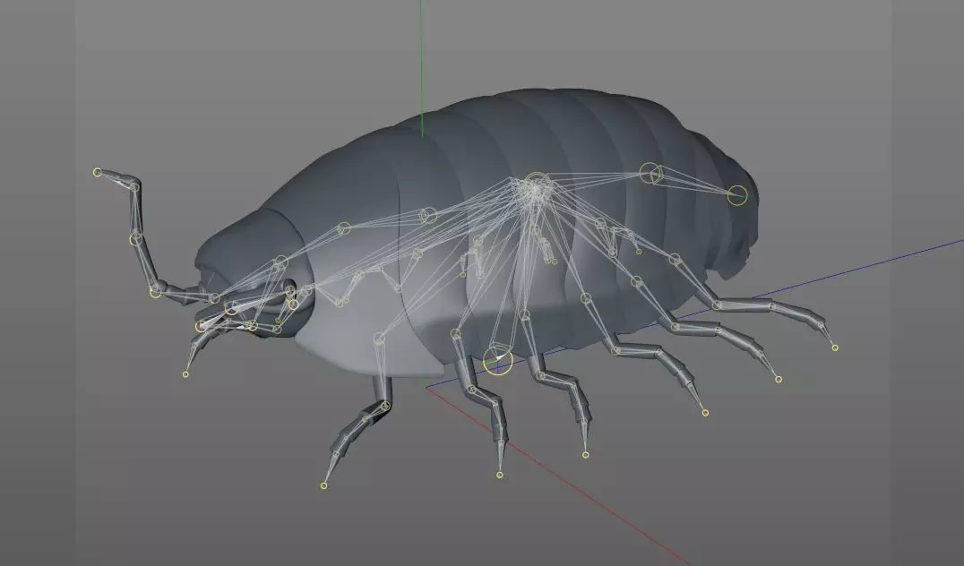 Pill bug insect Low-poly 3D model_13