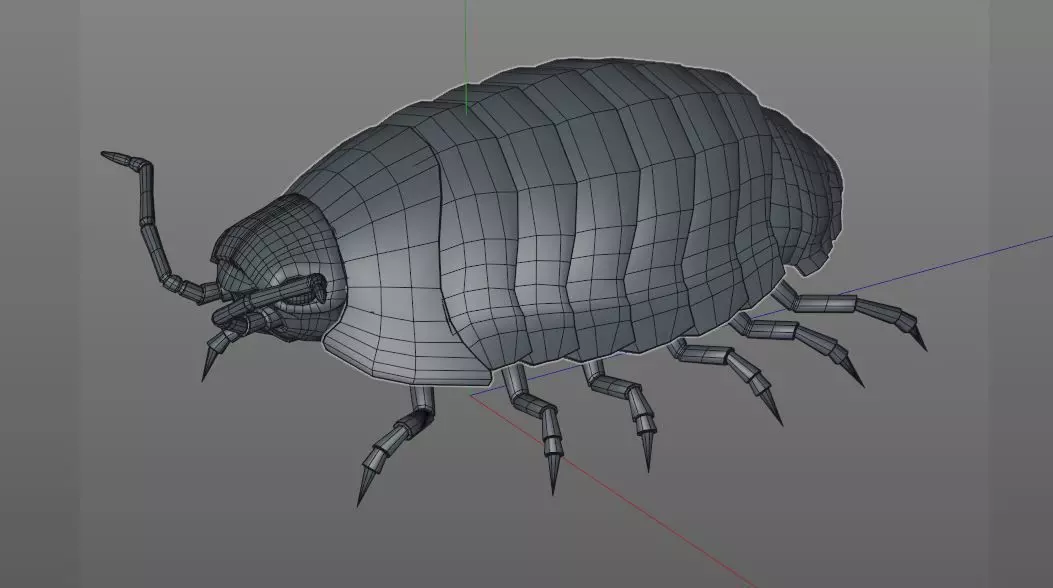 Pill bug insect Low-poly 3D model_10