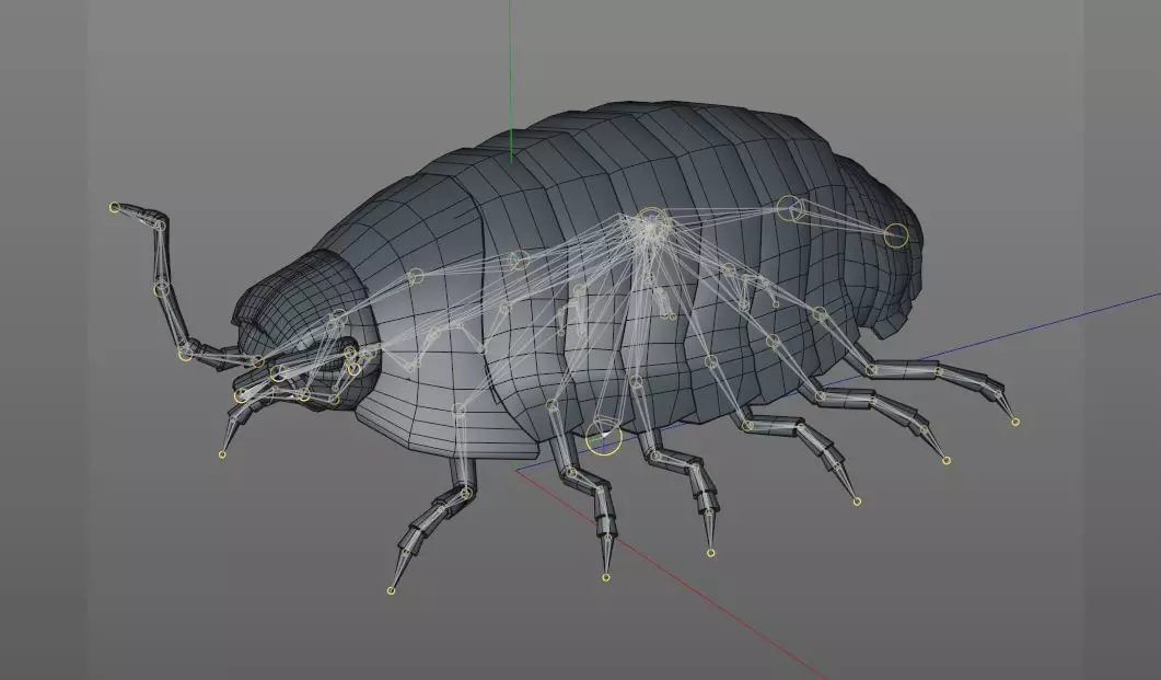 Pill bug insect Low-poly 3D model_11