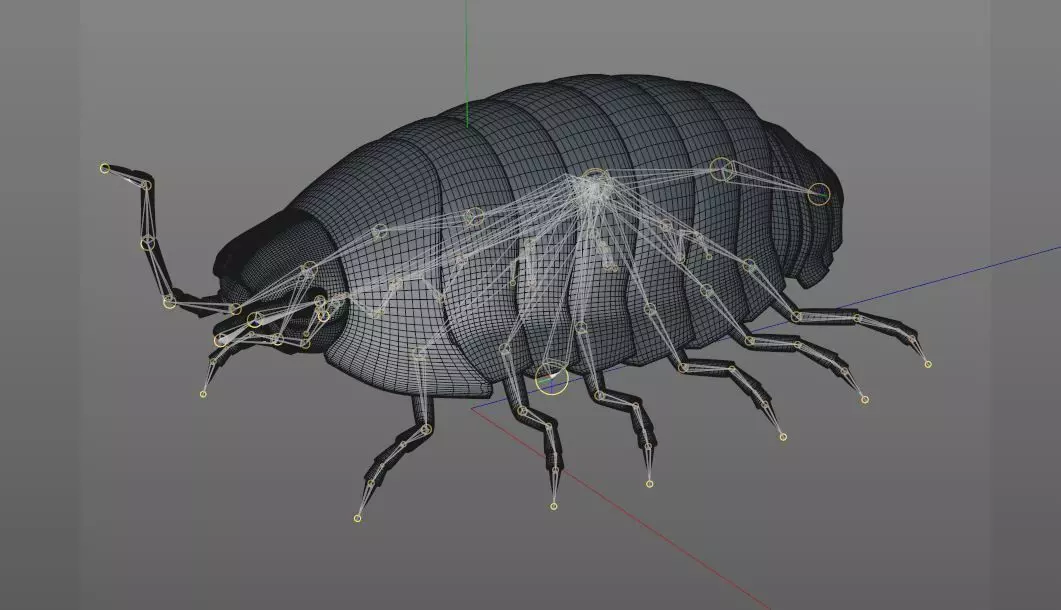 Pill bug insect Low-poly 3D model_12
