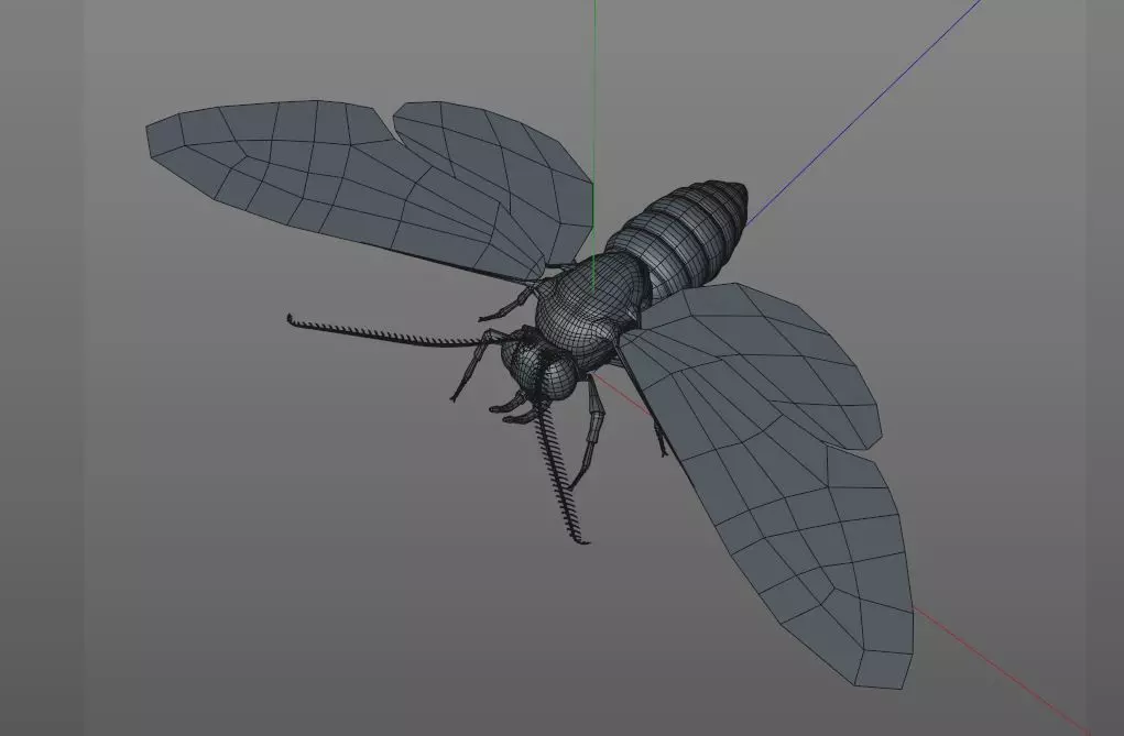 Moth insect Low-poly 3D model_14