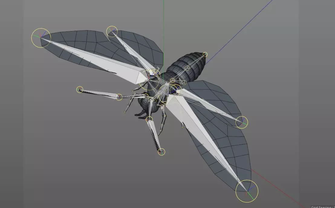 Moth insect Low-poly 3D model_15