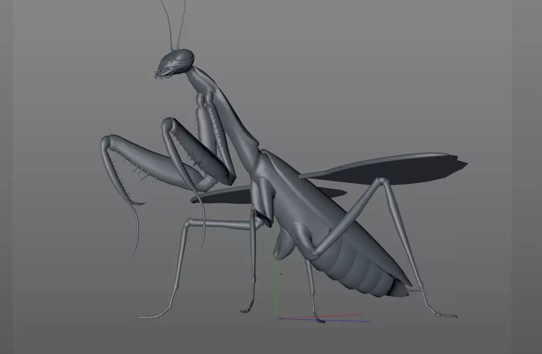 Mantis insect Low-poly 3D model_14