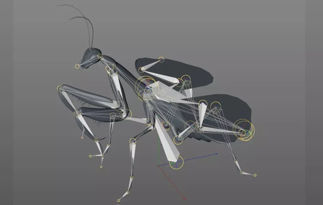 Mantis insect Low-poly 3D model_13