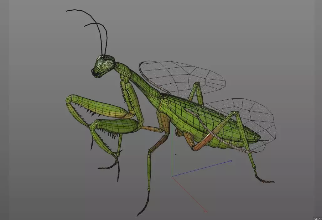 Mantis insect Low-poly 3D model_11