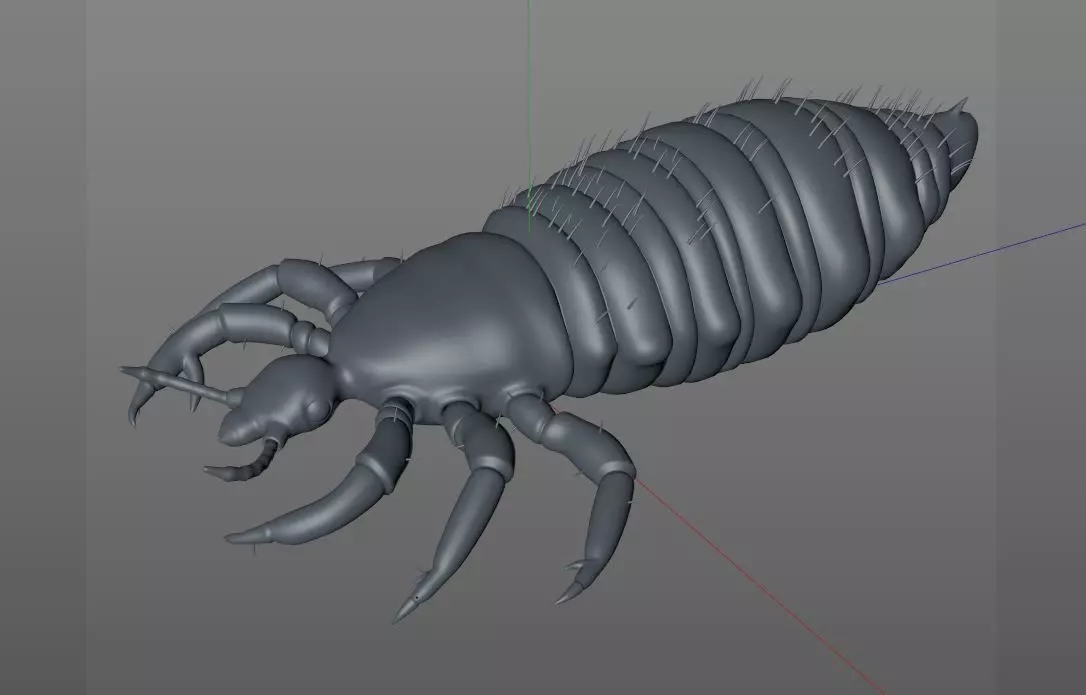 Louse insect Low-poly 3D model_11