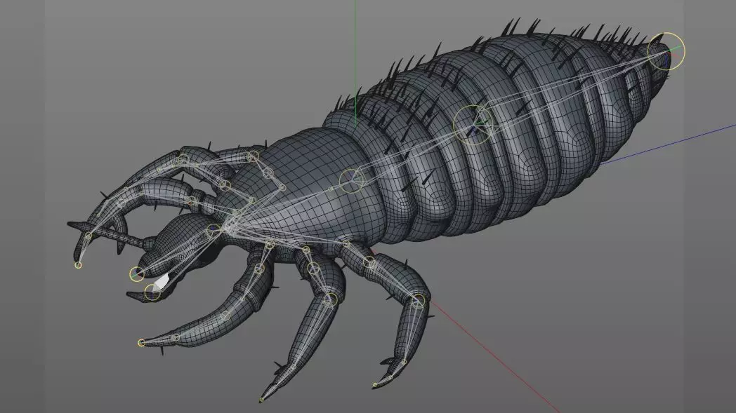 Louse insect Low-poly 3D model_10