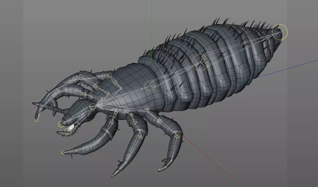 Louse insect Low-poly 3D model_9
