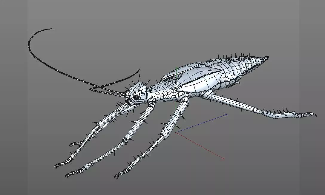 Jungle Nymph insect Low-poly 3D model_11