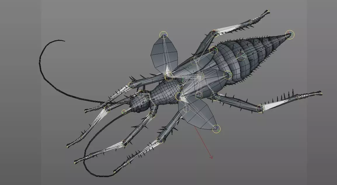 Jungle Nymph insect Low-poly 3D model_13