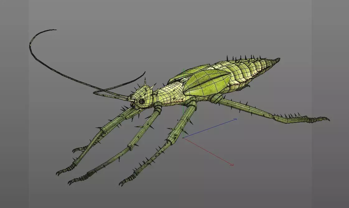 Jungle Nymph insect Low-poly 3D model_10
