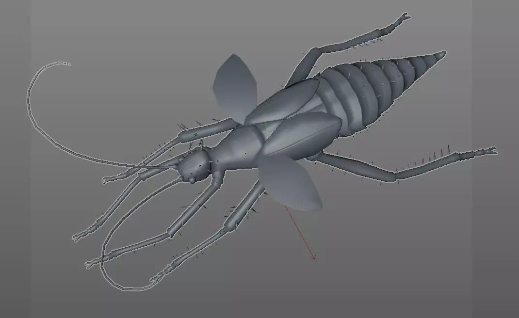 Jungle Nymph insect Low-poly 3D model_14