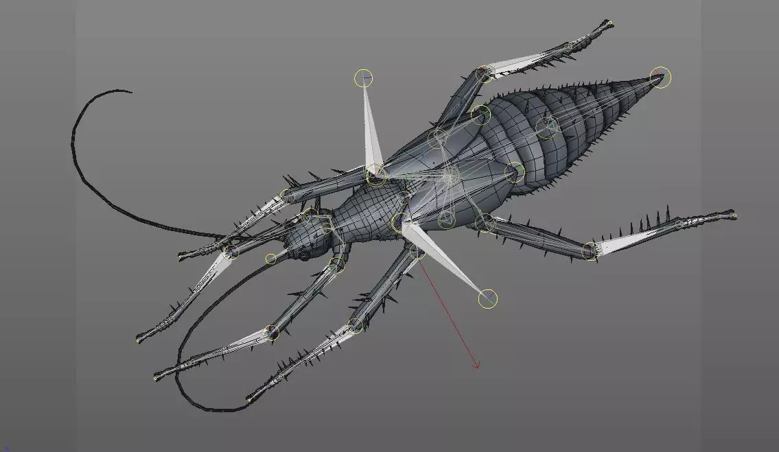 Jungle Nymph insect Low-poly 3D model_12