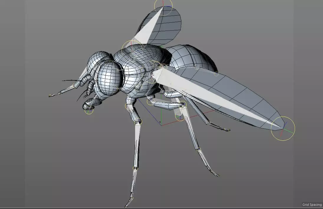 Housefly insect Low-poly 3D model_4