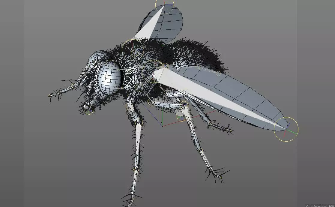 Housefly insect Low-poly 3D model_5