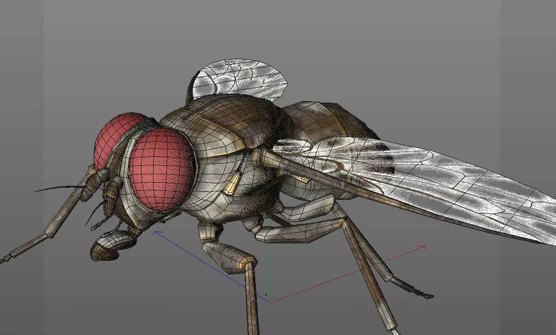 Housefly insect Low-poly 3D model_2