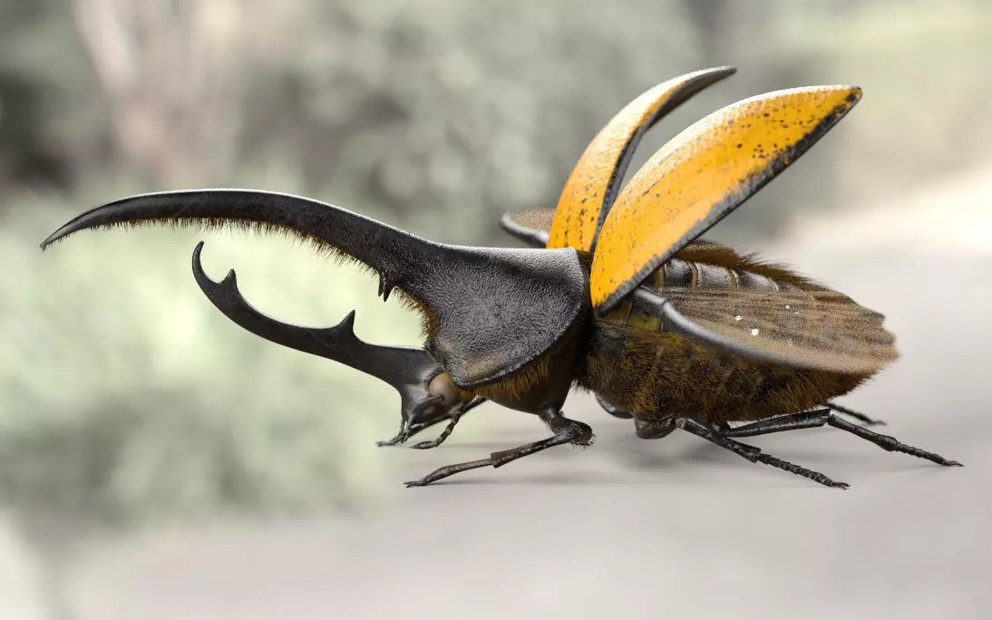 Hercules Beetle Insect Low-poly 3D model