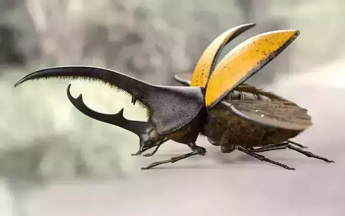 Hercules Beetle Insect Low-poly 3D model