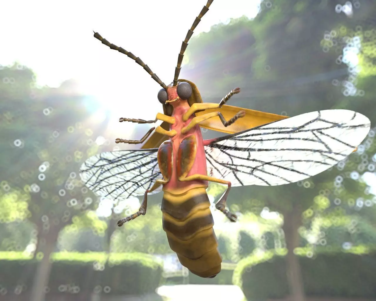 Firefly Insect Low-poly 3D model_3