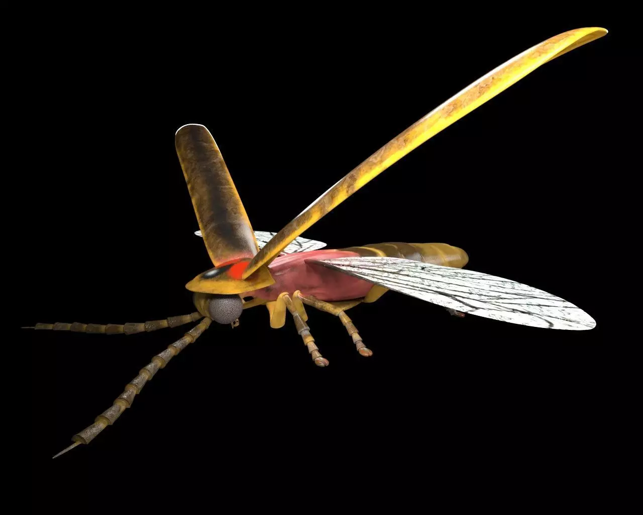 Firefly Insect Low-poly 3D model_8