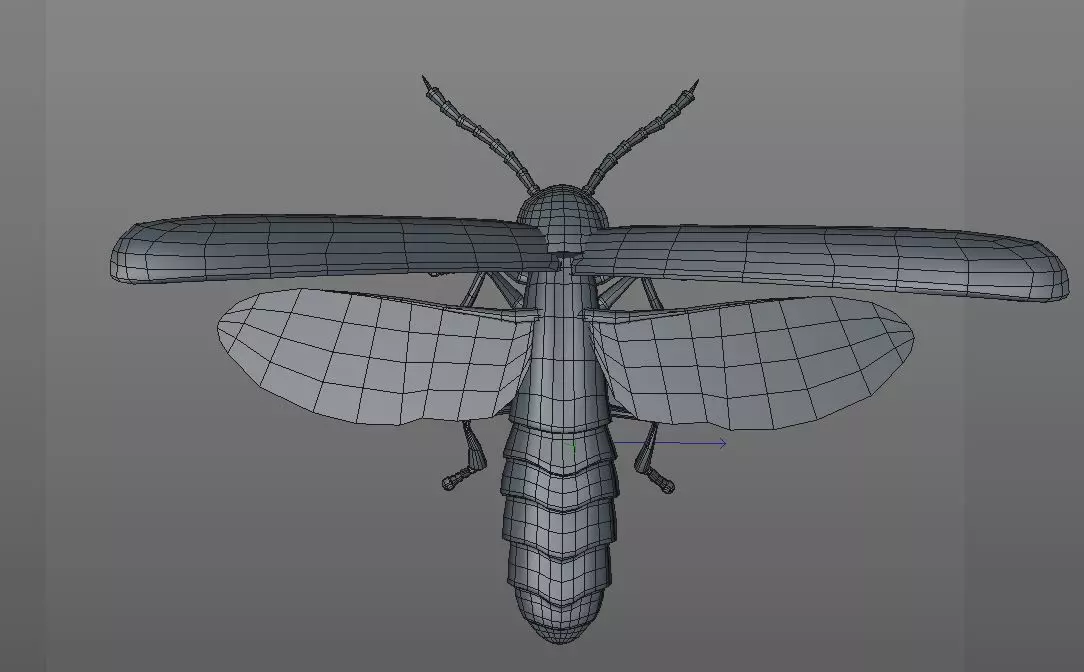 Firefly Insect Low-poly 3D model_13