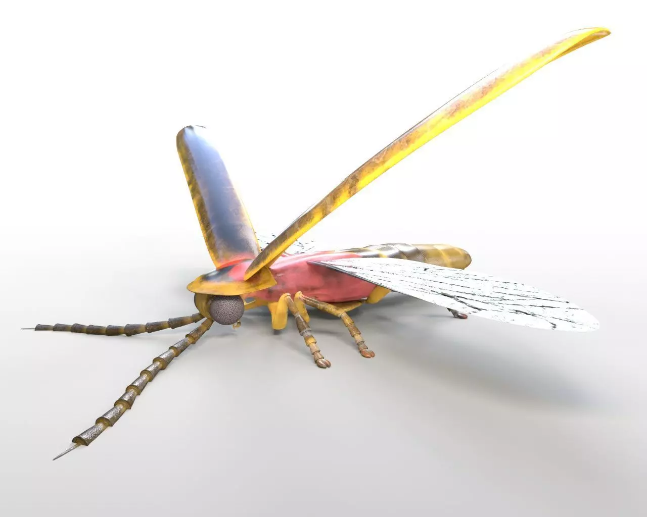 Firefly Insect Low-poly 3D model_9