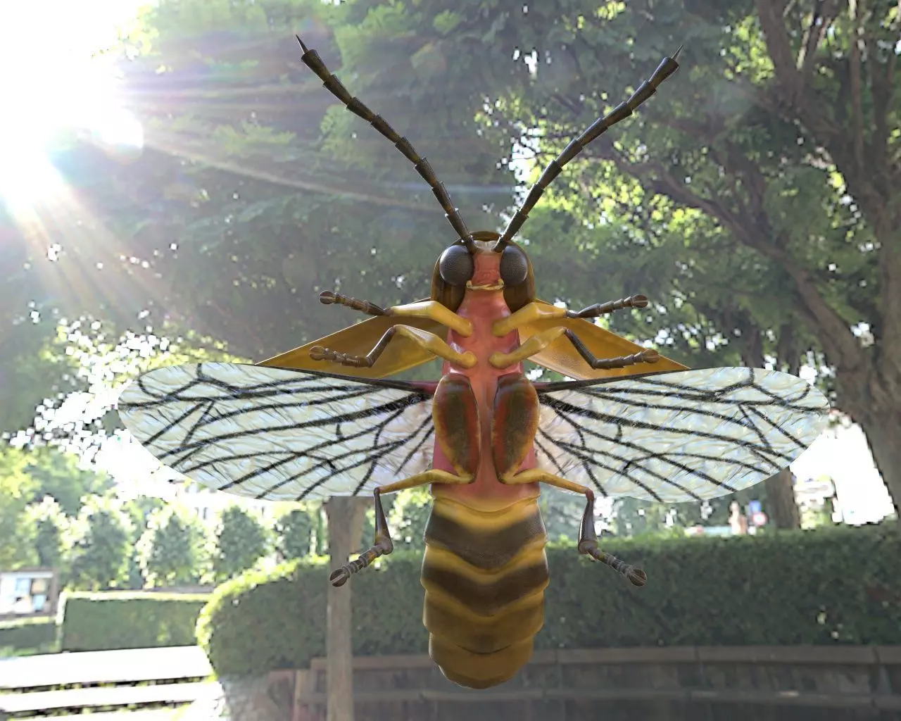 Firefly Insect Low-poly 3D model_6