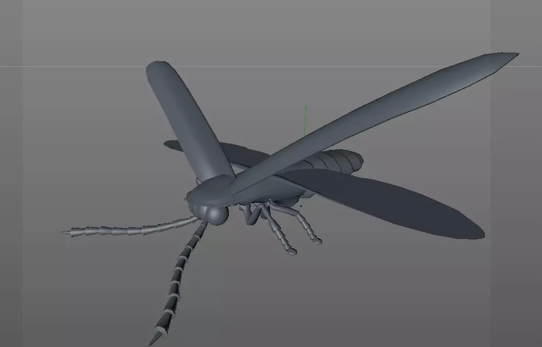 Firefly Insect Low-poly 3D model_14