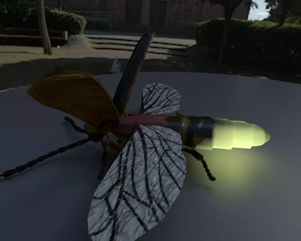 Firefly Insect Low-poly 3D model_16