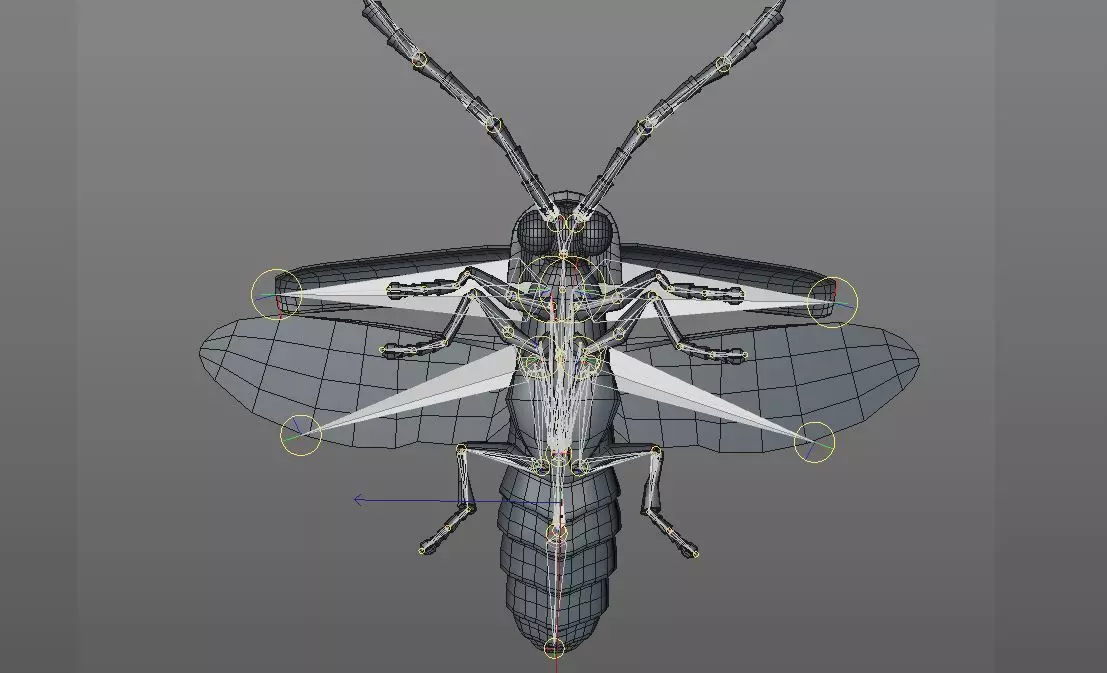 Firefly Insect Low-poly 3D model_12