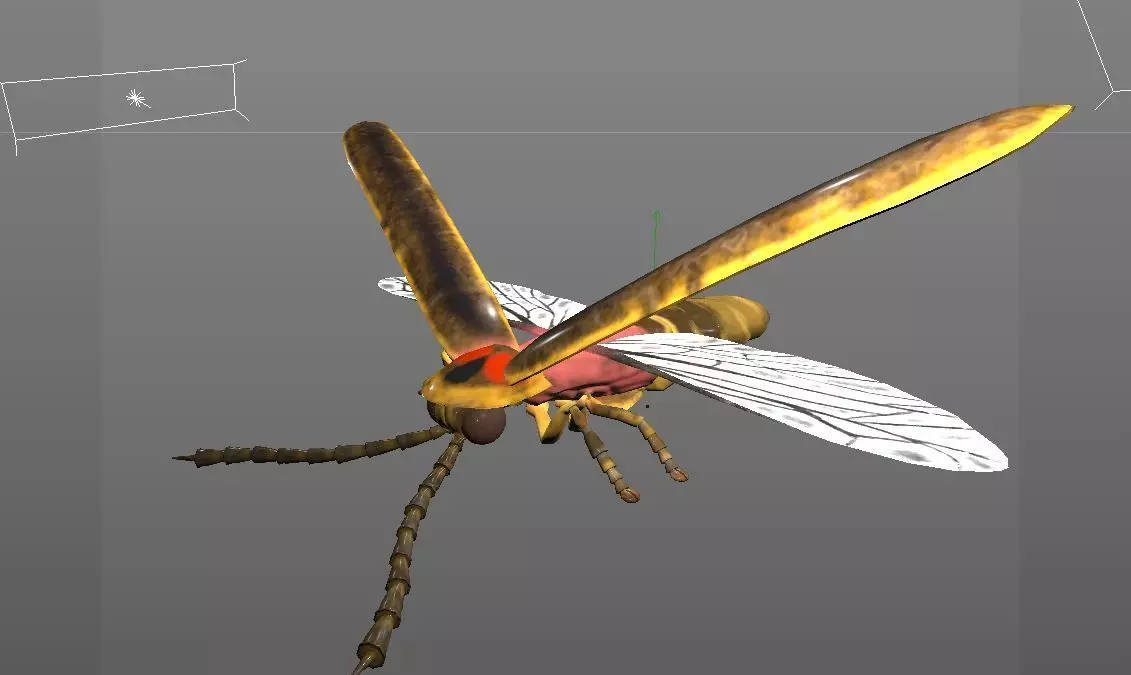 Firefly Insect Low-poly 3D model_15