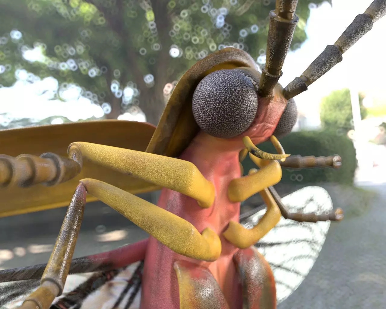 Firefly Insect Low-poly 3D model_5