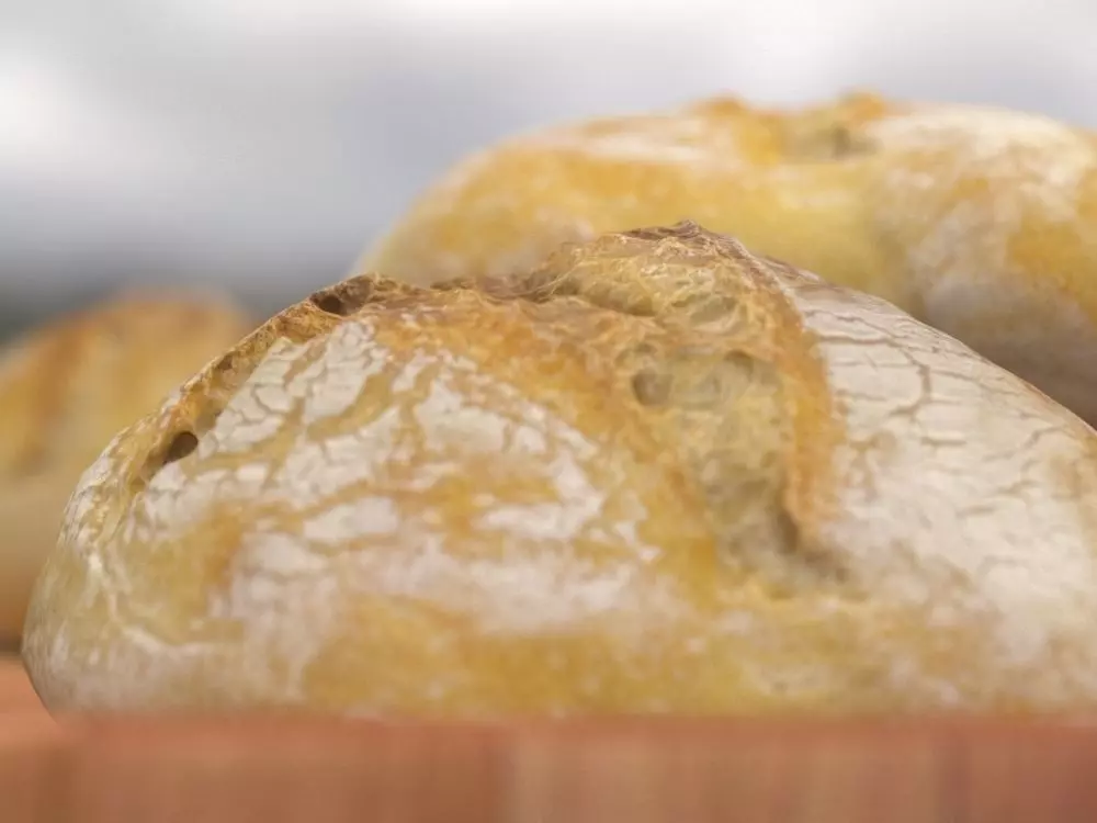 Bread - Bun 3D model_0