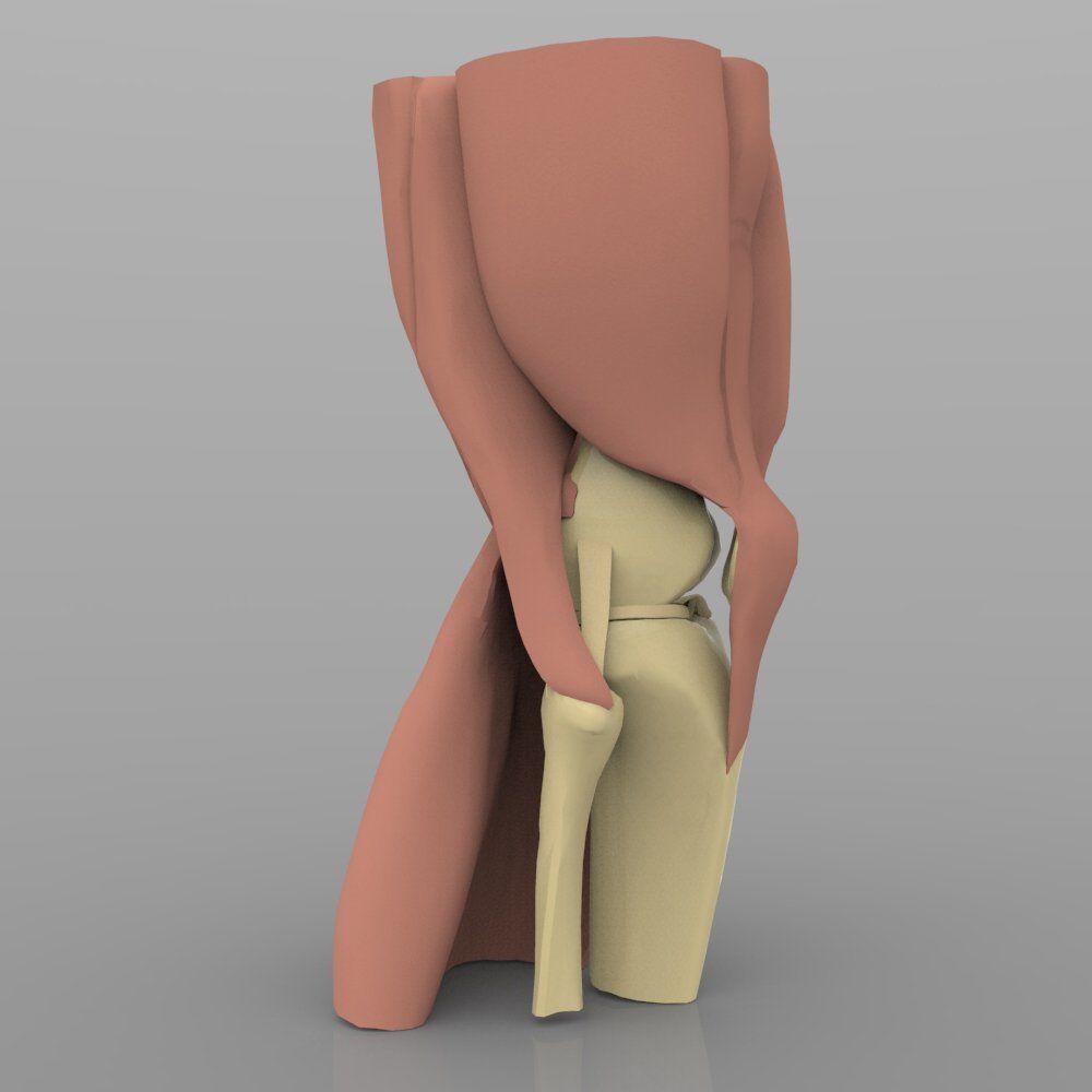 Knee Joint With Muscles 3D model_2