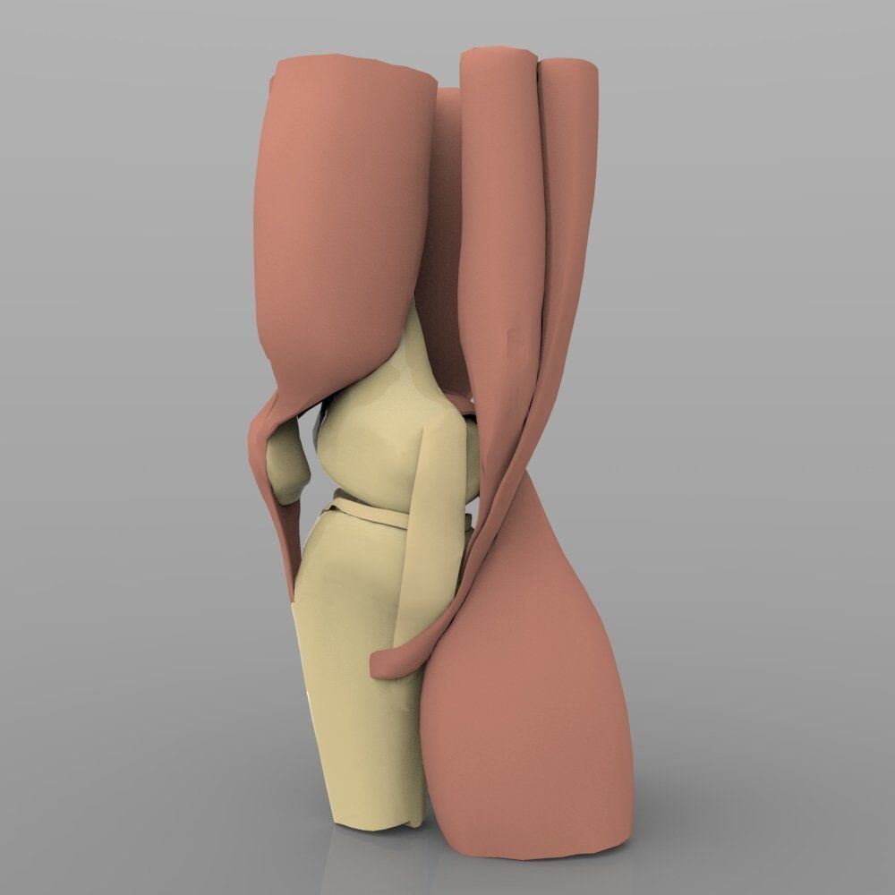 Knee Joint With Muscles 3D model_1