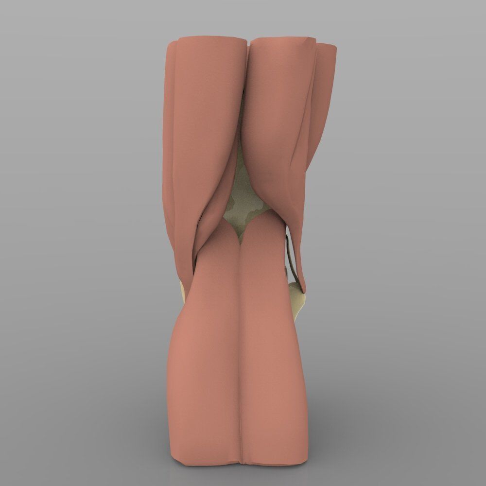 Knee Joint With Muscles 3D model_3
