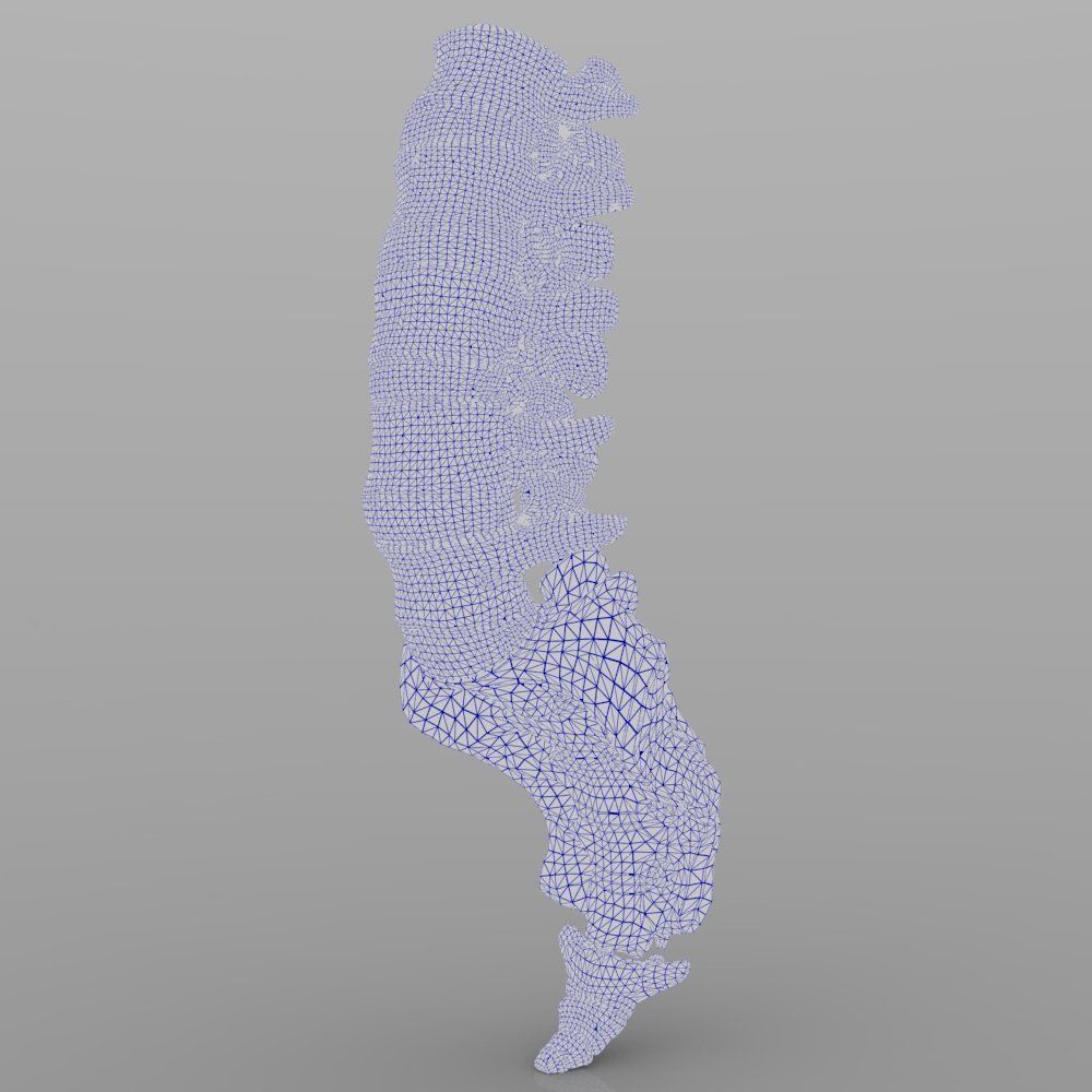 Lumbar Vertebrae 3D model_7