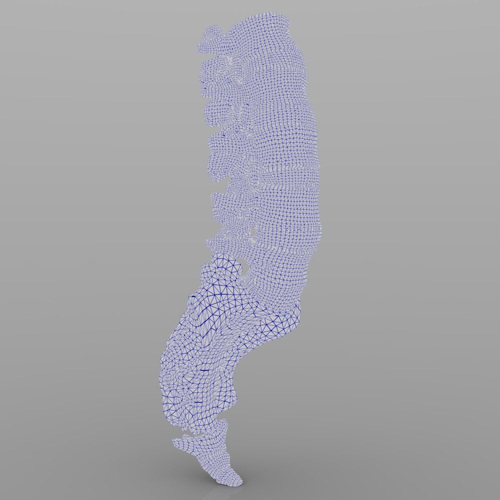 Lumbar Vertebrae 3D model_6