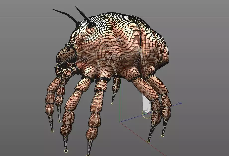 Dust Mite Insect Low-poly 3D model_10