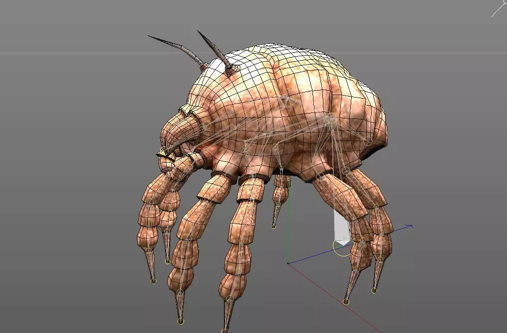 Dust Mite Insect Low-poly 3D model_9