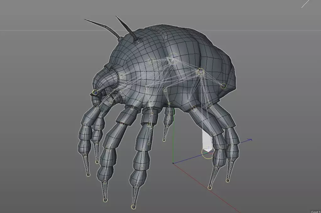 Dust Mite Insect Low-poly 3D model_11