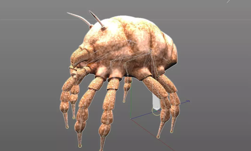 Dust Mite Insect Low-poly 3D model_8