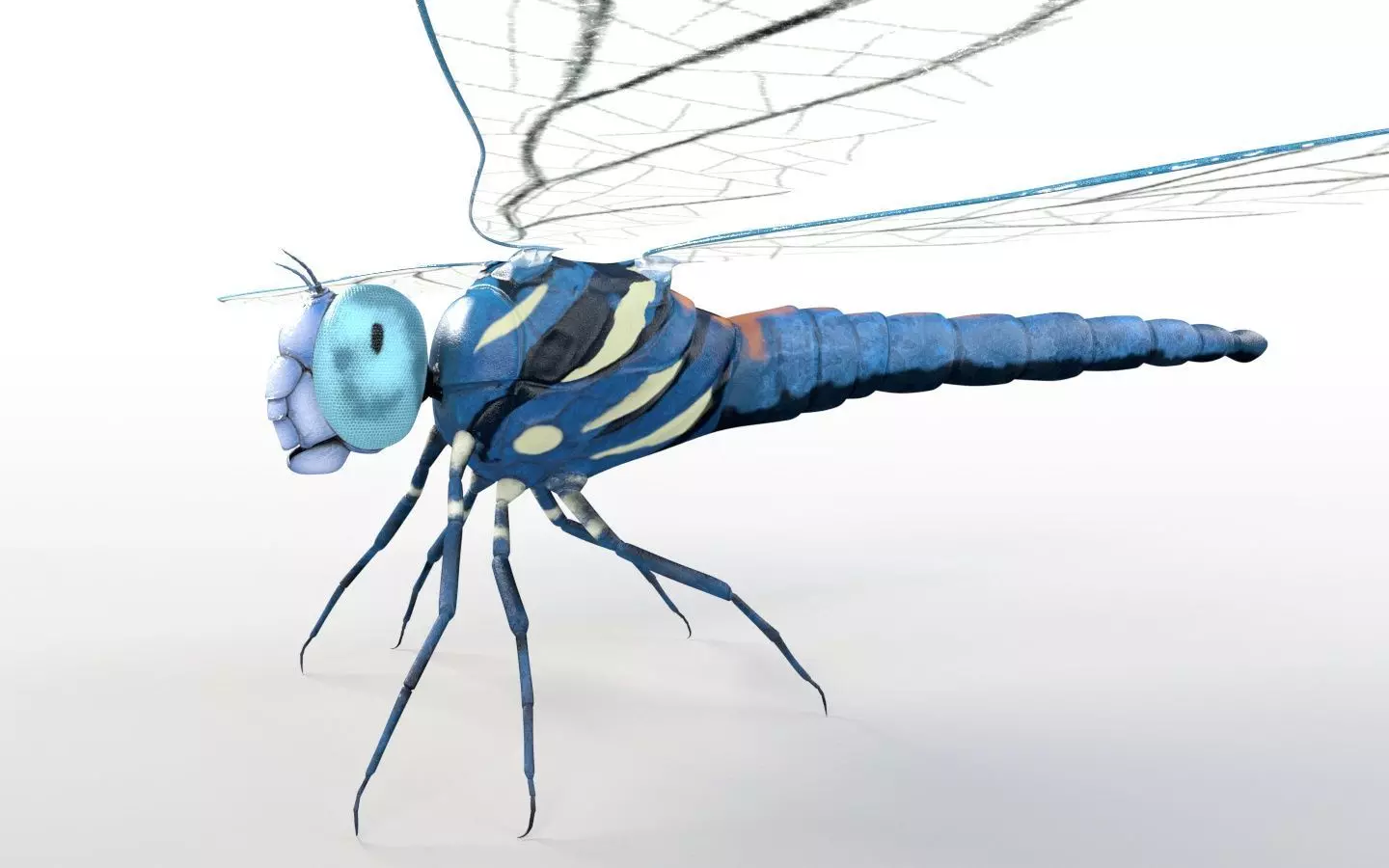 Dragonfly Insect Low-poly 3D model_2