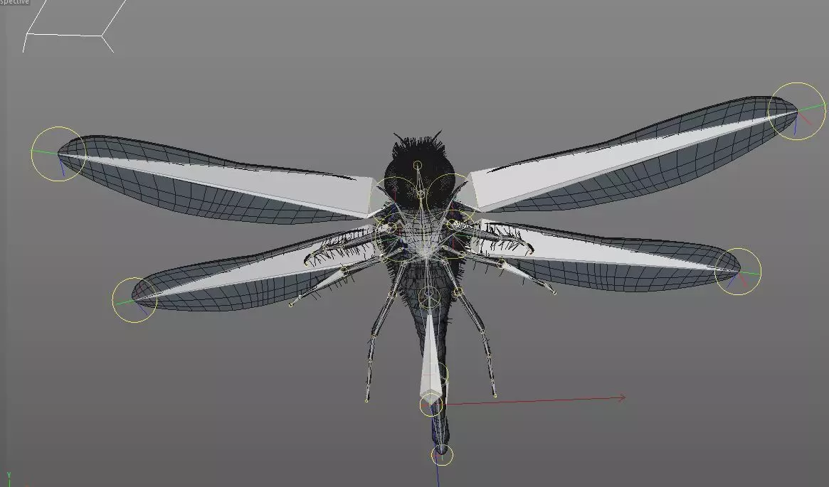 Dragonfly Insect Low-poly 3D model_16