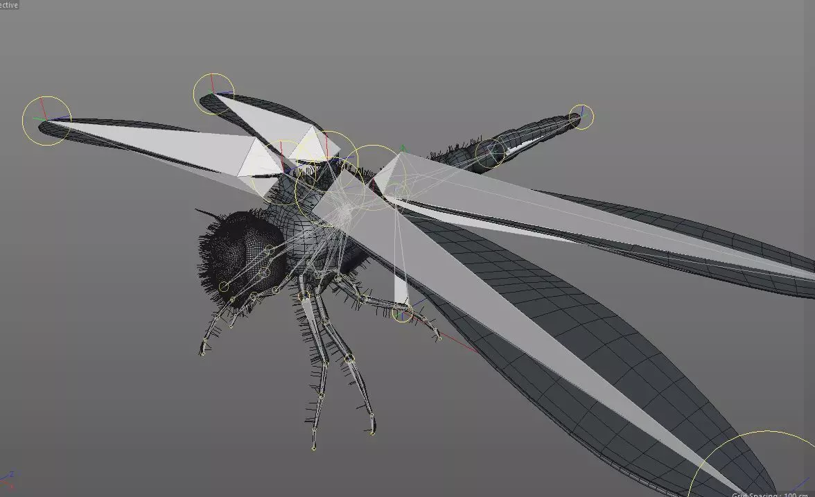 Dragonfly Insect Low-poly 3D model_15
