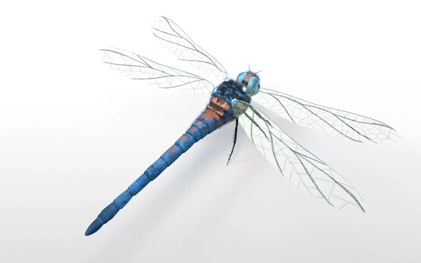 Dragonfly Insect Low-poly 3D model_3