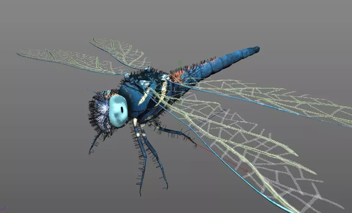 Dragonfly Insect Low-poly 3D model_12