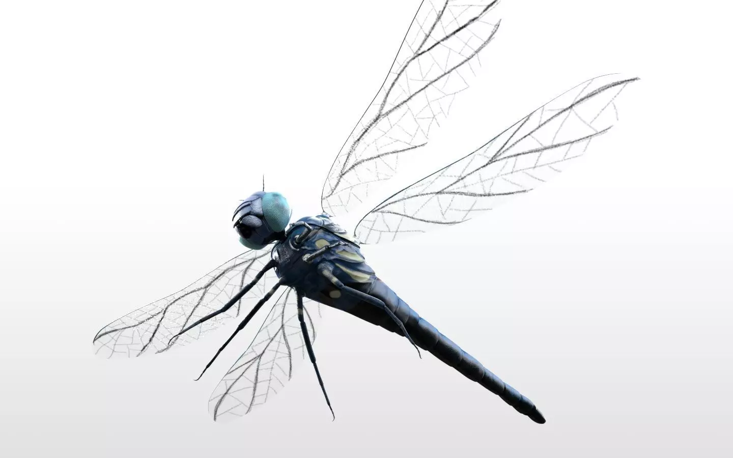 Dragonfly Insect Low-poly 3D model_5